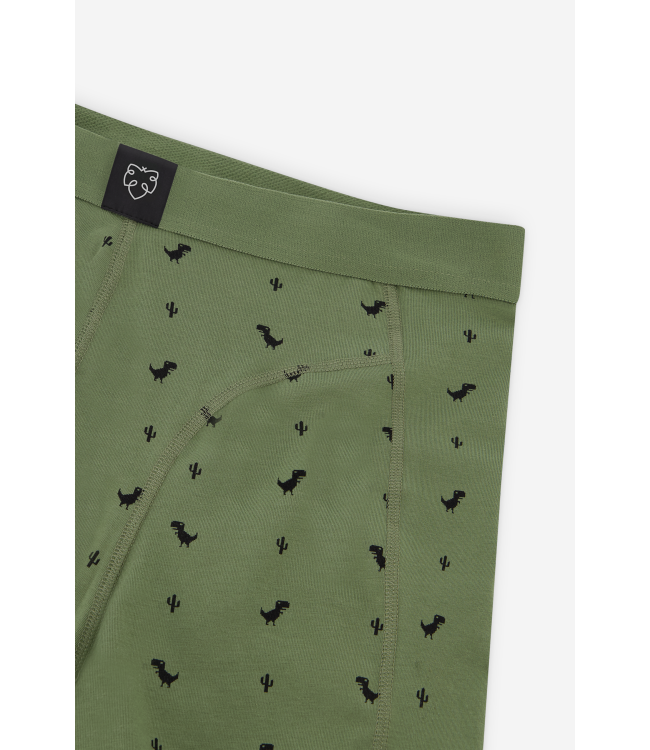 A-dam Boxer Brief 8Bit Dino