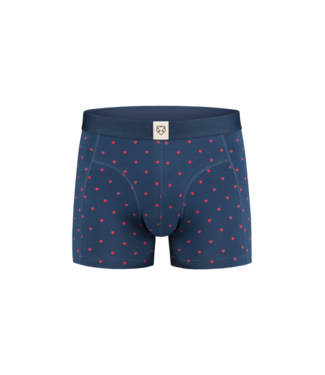 A-dam Copy of Boxer Brief 8Bit Dino