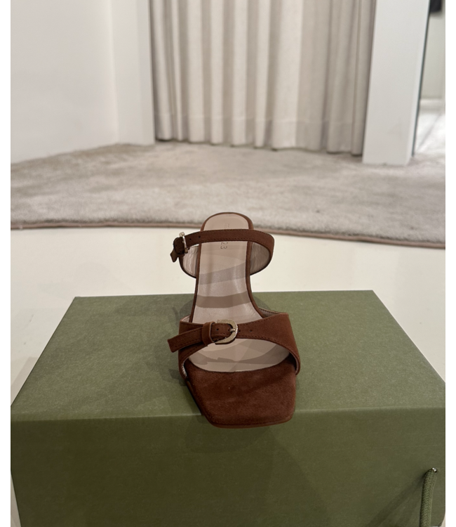 March 23 Dani Heels Bronze Suede