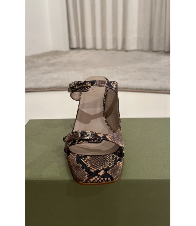 March 23 Monaco Heels Bronze Python