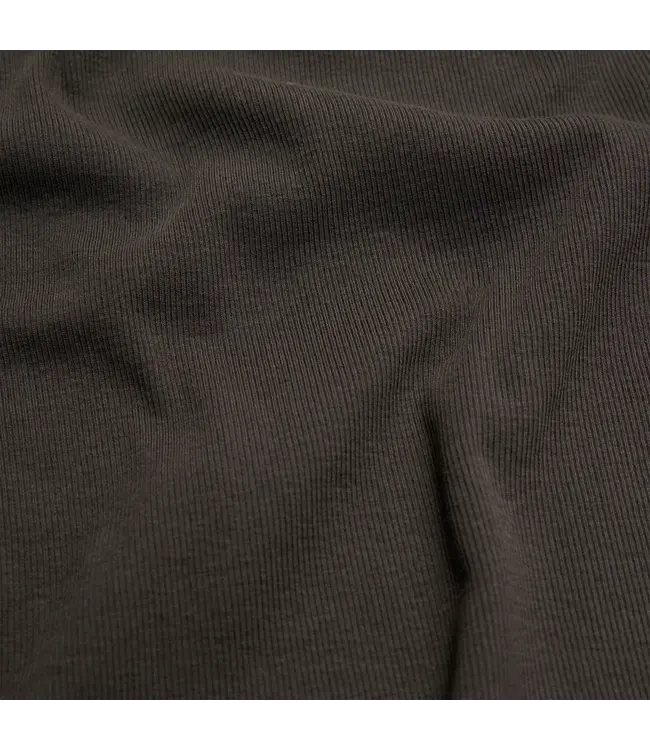 Drykorn Olina 1104 brown