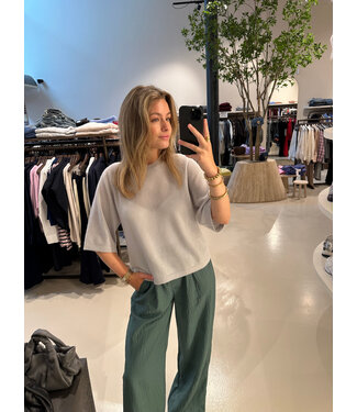 Absolut Cashmere Leana T-shirt moonstone