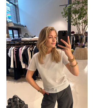 Absolut Cashmere Maria Shirt silver Glitter