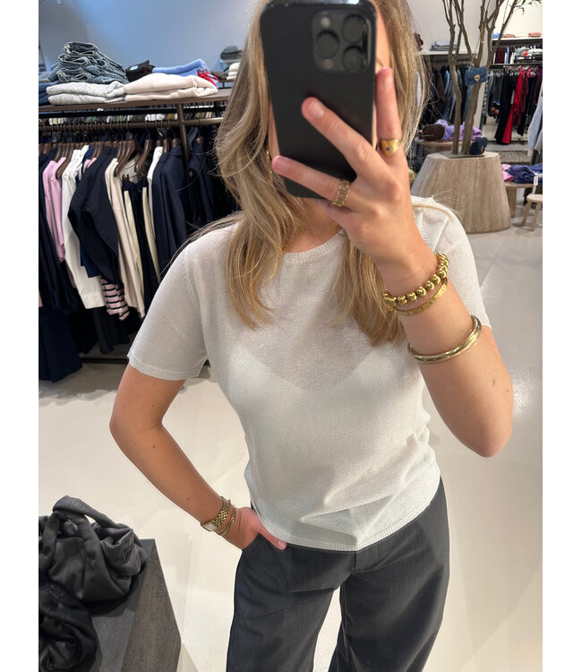 Absolut Cashmere Maria Shirt silver Glitter