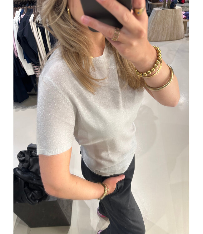 Absolut Cashmere Maria Shirt silver Glitter