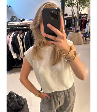 Absolut Cashmere Naomi glitter platinum