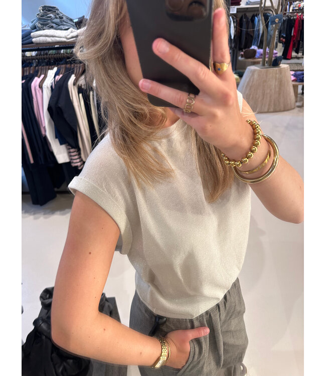 Absolut Cashmere Naomi glitter platinum