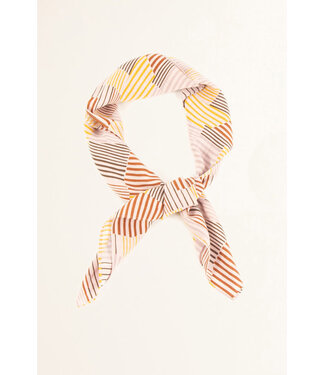 Sessùn Scarvi rosaico honesti