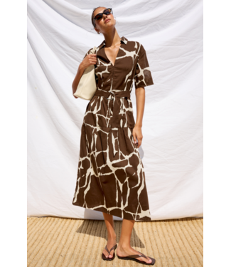 Rails Richmond Dress Terra