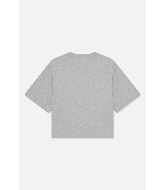 Baum und Pferdgarten Jiana T-shirt grey melange