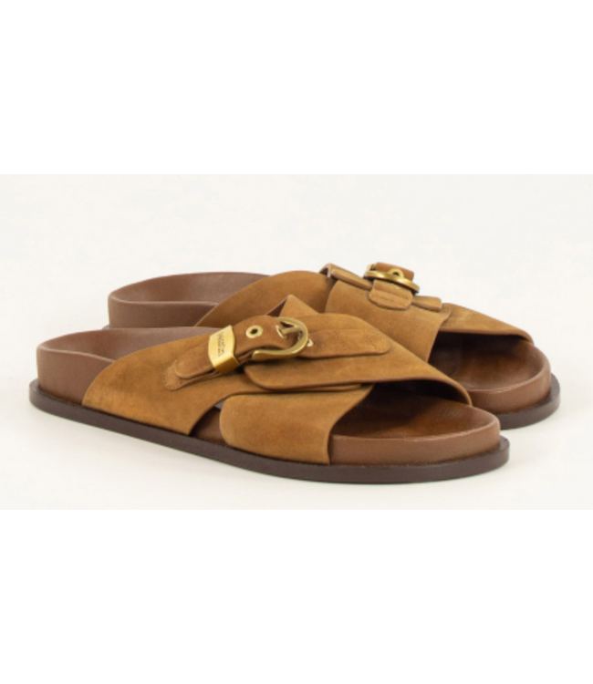 Sessùn remus tabacco suede