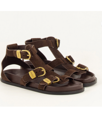 Sessùn Romulus Gladiator Sandal Choco Suede