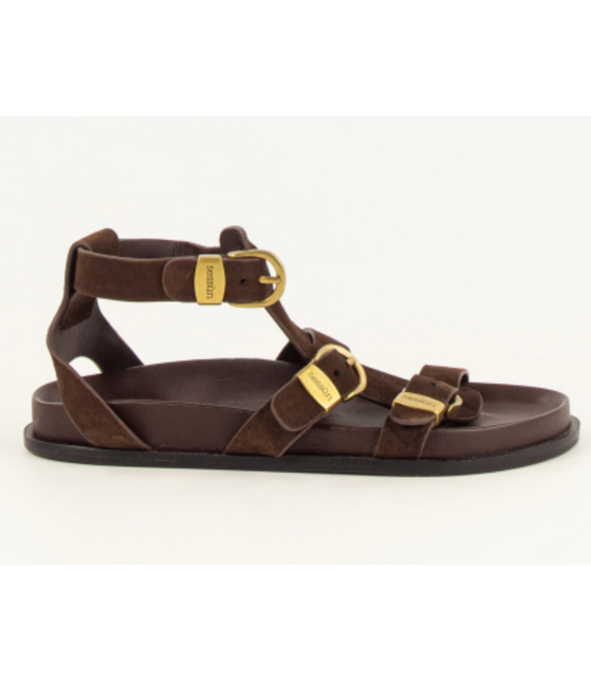 Sessùn Romulus Gladiator Sandal Choco Suede