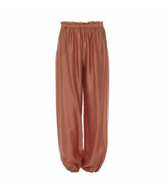 Devotion Silkstone pants powder