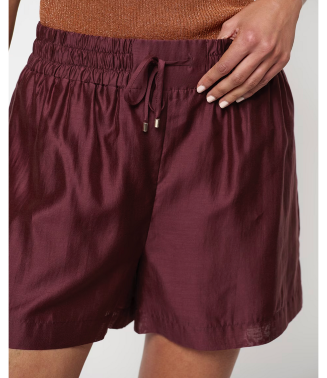 Dante 6 Quentyn Relaxed Shorts Cacao berry