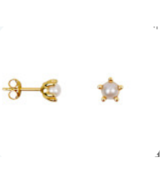 Betty Bogaers Pearl Stud Earring Gold (one piece)