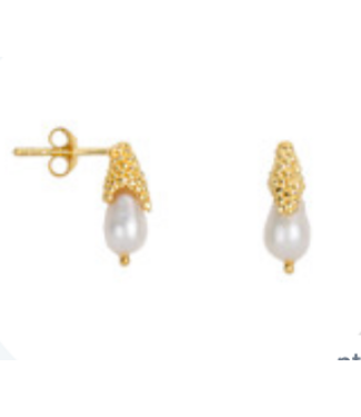 Betty Bogaers Copy of Lemon Stud Hoop Earring Gold
