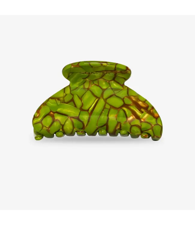 Mony turtle green