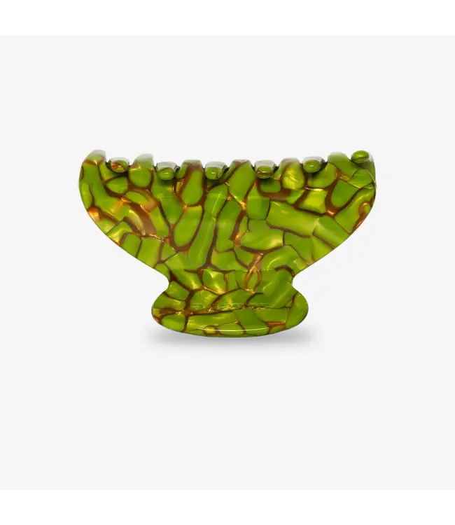 Mony turtle green