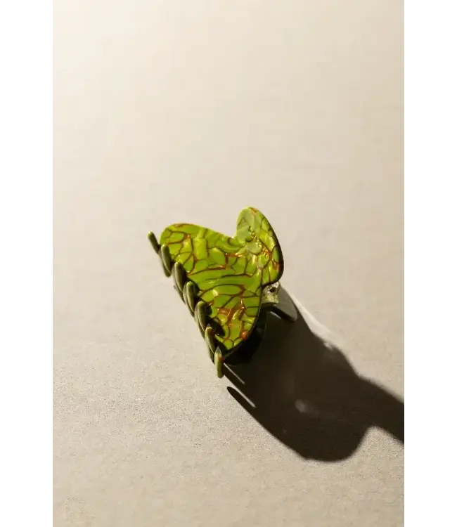 Mony turtle green
