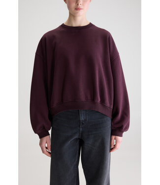 Bellerose Fancy Sweater burgundy