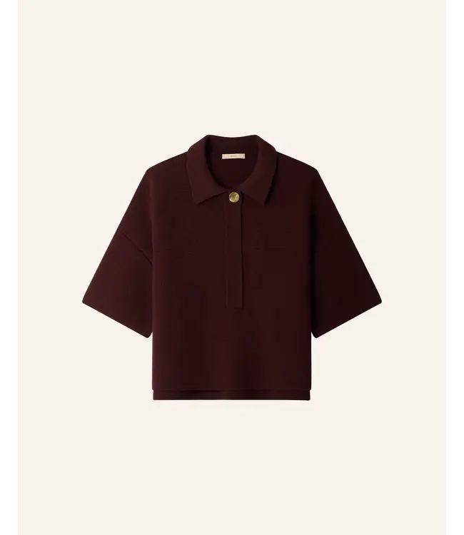 Sessùn Rigel Button-Up Polo Ambrune