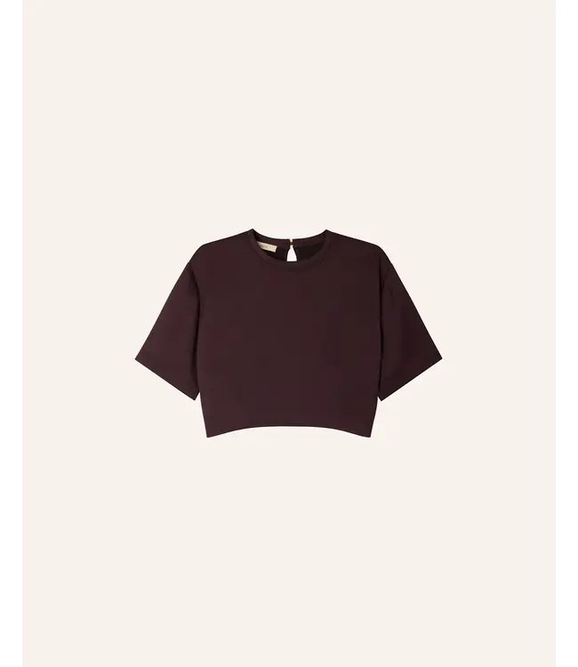 Sessùn Mocambo Short Jewel Top Murza