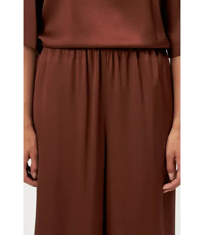 Drykorn Tweezer Pants Brown 1217