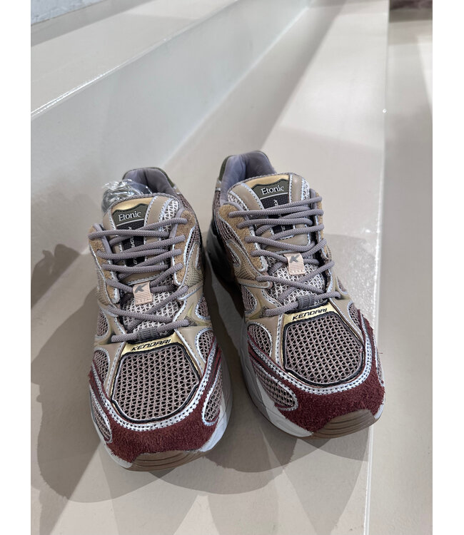 Etonic Kendari Chocolat