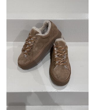 Copenhagen CPH269 Suede Teddy New Brown