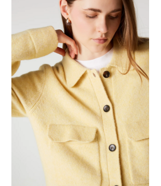 Absolut Cashmere Maiwen Light Yellow