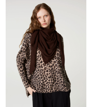 Absolut Cashmere Danika Scarf Brownie
