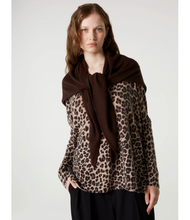 Absolut Cashmere Danika Scarf Brownie