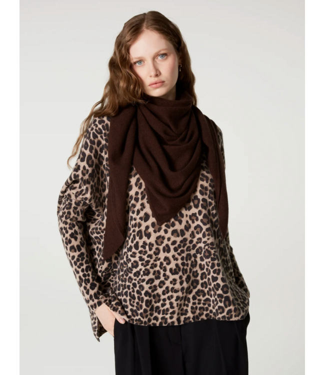 Absolut Cashmere Danika Scarf Brownie