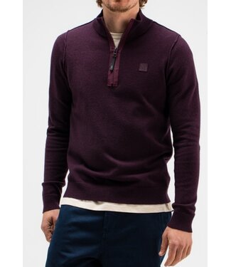 Butcher of Blue Clifden halfzip pascha purple