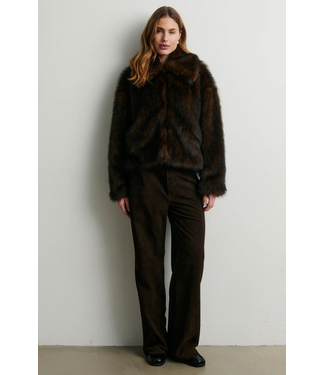 Second Female Plaza Jacket Demitasse
