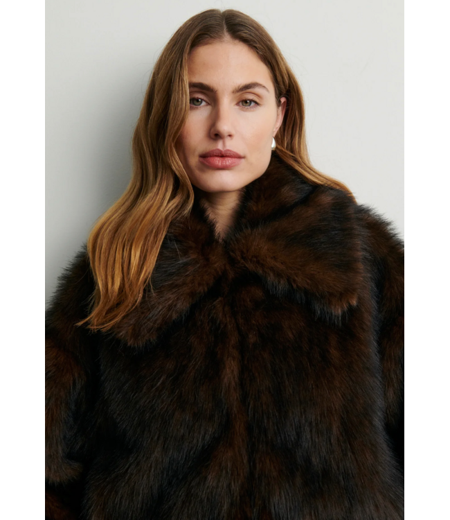 Second Female Plaza Jacket Demitasse
