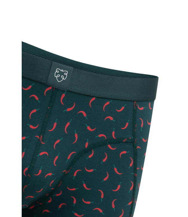 A-dam Boxer brief rik spicy