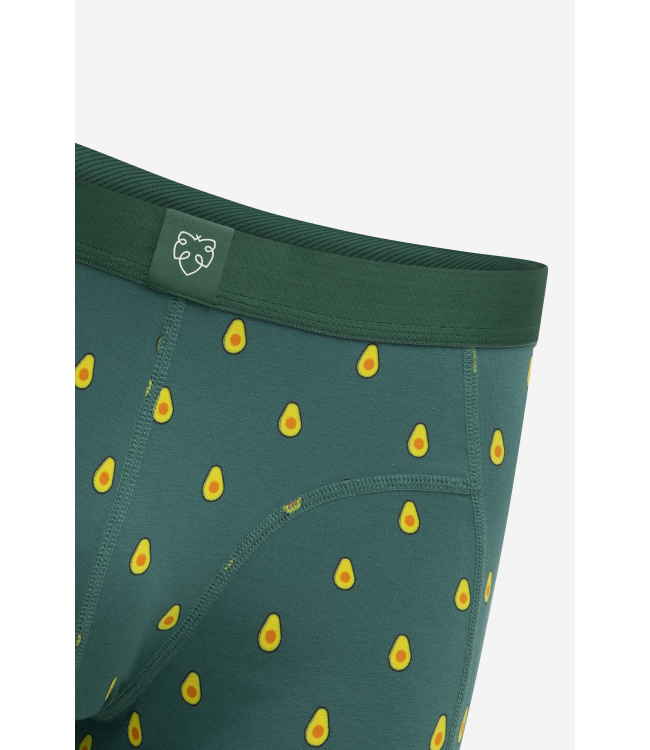 A-dam Boxer brief kaj advocado
