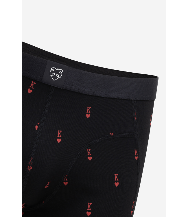 A-dam Boxer brief kingsley black
