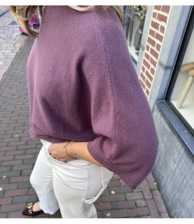 Absolut Cashmere Bettina Mauve