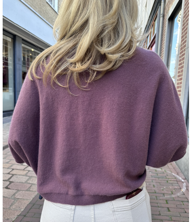 Absolut Cashmere Bettina Mauve