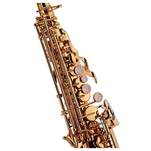Trevor James Trevor James 'The Horn' Soprano Saxophone