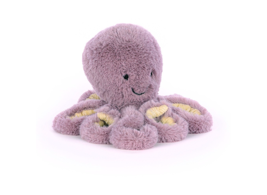 Maya octopus baby