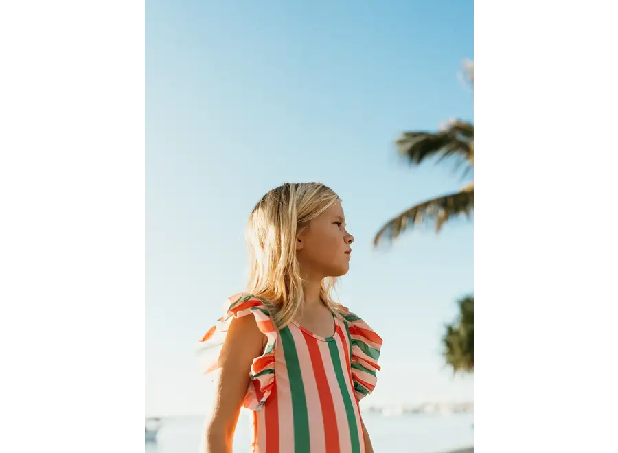 Swimsuit ruffles stripe print - Blossom