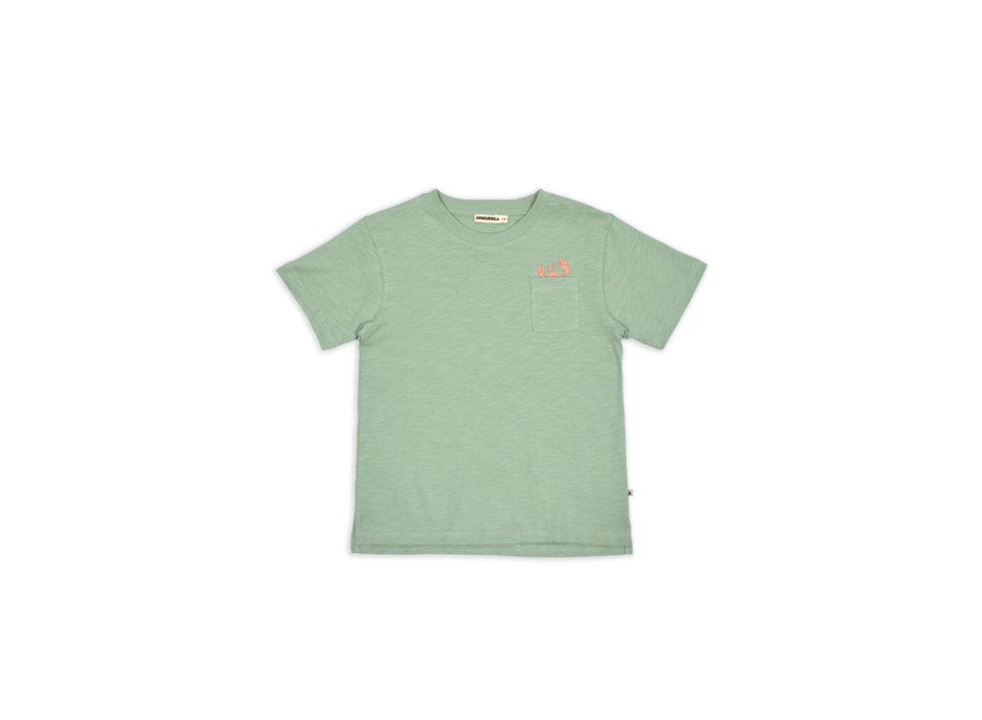 AM. Zoe T-shirt Crab - Mint green