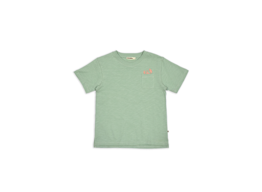 AM. Zoe T-shirt crab - Mint green