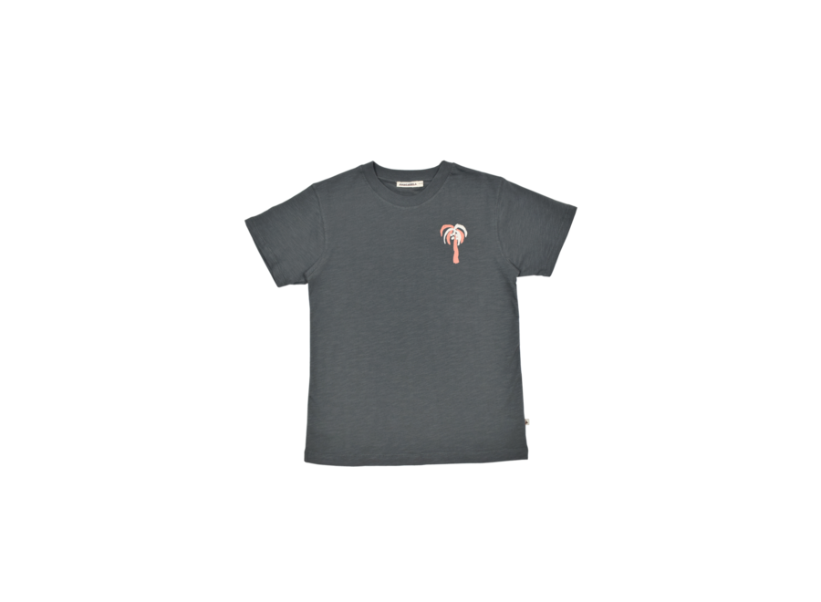 AM. Zoe T-shirt - Vulcanic ash