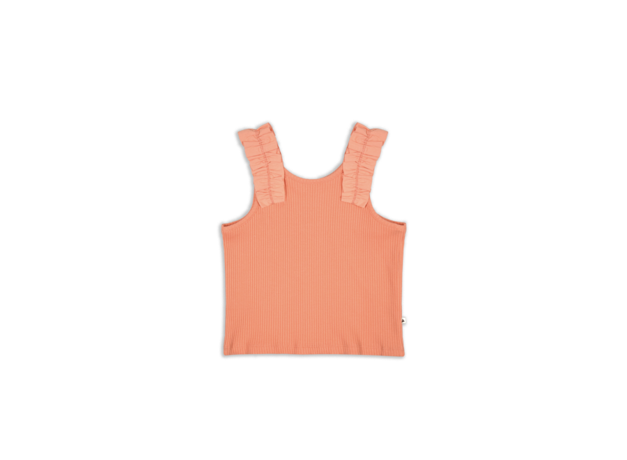 AM. Elena top - Coral