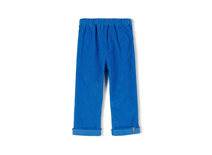 Stic corduroy pants - Cool